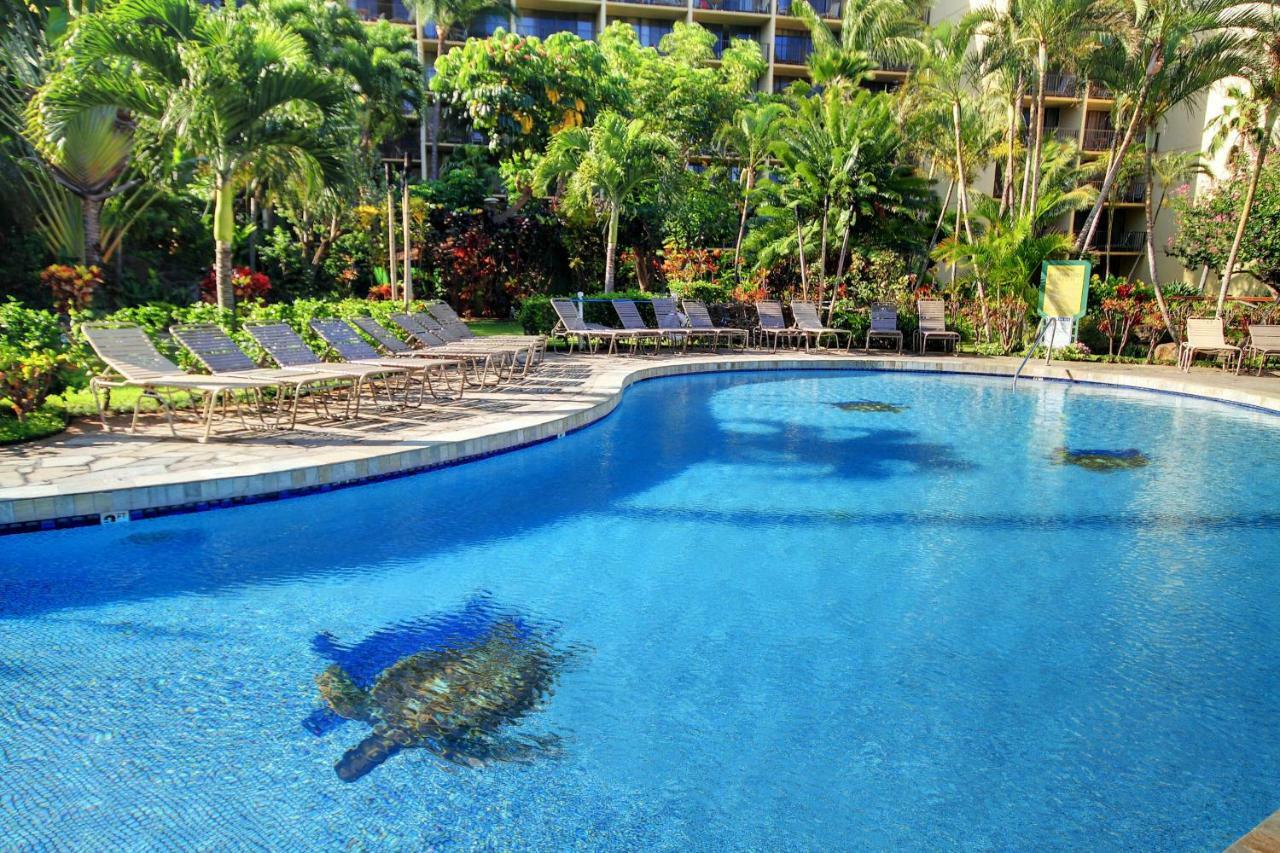 Kaanapali Shores 706 Экстерьер фото